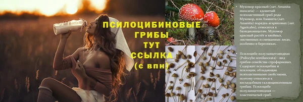 ALPHA PVP Алзамай