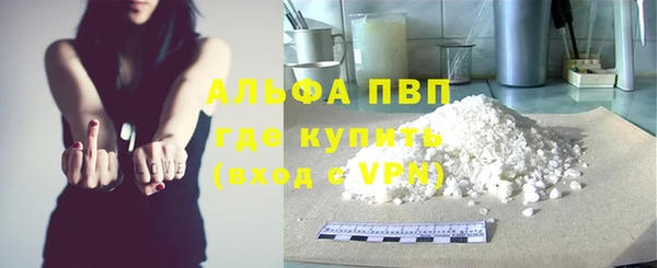 стаф Алексин