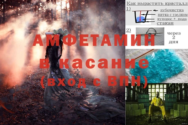 стаф Алексин