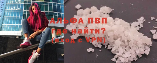 стаф Алексин
